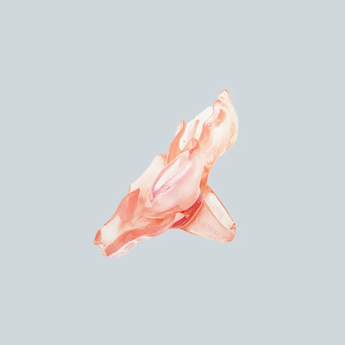TETERIUM FRANCIA - Image 3